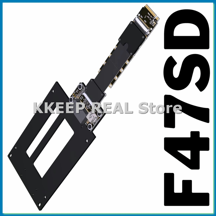 F47SD M.2 NVMe to E1.S/E3.S SS - огляд і ціна Pcie Extension Cable